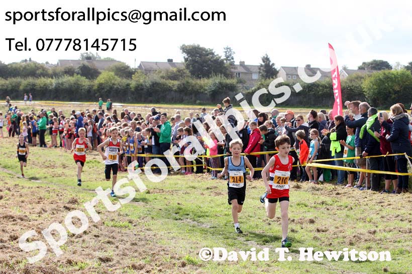Boys under-11s Start Fitness North Eastern Harriers League, Wrekenton, Gateshead. Photo:  David T. Hewitson/Sports for All Pics